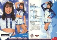 华14[标准卡]:Mami(holo PP平行版)