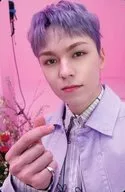 SEVENTEEN / VERNOn (Vernon) / Back Pink / CD-ALWAYS YOURS (Regular Edition) Enclosed Photo Card E