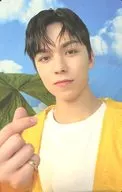 Seventeen / Vernon (Vernon) / CDs "Seventeen Heaven" (CARAT Ver.) Photo Card