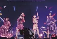 3701:桃色幸運草Z/集合(4人)/官方生寫真第53彈