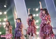 3702:桃色幸運草Z/集合(4人)/官方生寫真第53彈