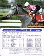 No.427[标准卡]:Bewahayahide