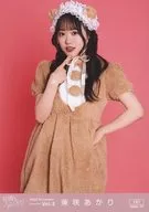 101 : Pretty Ivory / Akari Shibasaki / Official photo Set 2023 November vol. 2