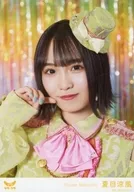 Rough x Rough / Summer Cool Breeze / Bust Up / Event Venue Limited Sale Random Official photo Set 