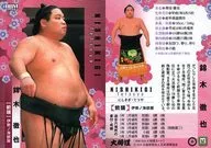 17[レギュラーカード]：錦木徹也