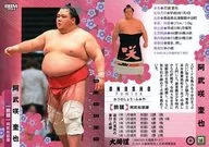 18[常规卡]:阿武咲奎也