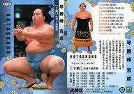 44 [Regular Card] : Koto 勝峰 Yoshinari