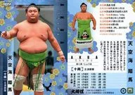 61[レギュラーカード]：天空海翔馬