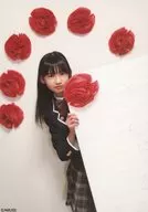 Sakura Gakuin / Sakiai Kimura / oi oi Online de ☆ Photo Set