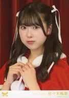 Rough x Rough / Sasaki 楓菜 / Bust Up / Random Official photo Set (Christmas Costume)