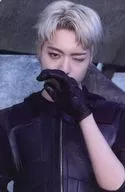 TREASURE/哈爾特/背麵黑・文字白/"2023 TREASURE CONCERT REBOOT IN SEOUL>交換式照片卡A Ver.