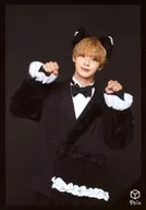 9 bic/雙葉小太郎/"9 bic Halloween Live～Familliar～"生寫真vol.46
