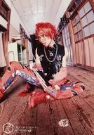 海獺/平一洋/CDlittle HEARTS.(little Hearts)藝術家生寫真