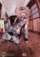 Sea-otter / Ivy / CDs "Chocolate With Insects" Little HEARTS. Artist Official photo