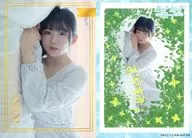 VACC-13/RM-067-RR[两分熟(铝箔样式)]:进藤网/AMANE ROOM/Voice Actor Card Collection VOL.13进藤网