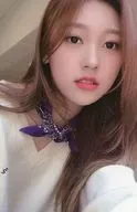 LOONA / Cherry (Choerry) / "LOONA 2021 SEASON'S GREETINGS" enclosed photo card