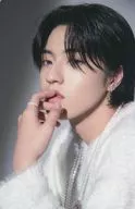 TREASURE/HART(HARUTO)/內部趣味/"TREASURE NIGHT GARDEN>封入迷你廢料套裝的照片卡