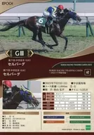 62[レギュラーカード]：中京記念/セルバーグ