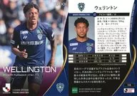 148 [Regular Card] : Wellington
