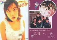 No.052[常规卡]:西本Haruka/GRAVISUAL CARD COLLECTION海盗