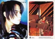 0249:PENICILLIN/CHISATO/PENICILLIN TRADING CARD COLLECTION