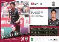 VI22 [Regular Card] : Sho Yamauchi