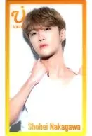 UNIF/NAKAGAWA Masahira / UNIFY tarjeta transparente