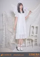 五百城堡茉央/全身/"2024.Halloween>WebShop限定个别生写真