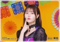 進山榛香/橫型/AKB48 2024年10月度net shop限定個別生寫真vol.1