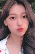 LOONA / Chéri (Choerry) / "LOONA 2020 1 st Season Greetings" Photo Card incluído