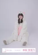 幸阪茉裏乃/坐/櫻坂46隨機生寫真【動物服裝玩偶】