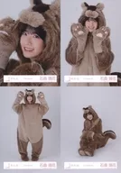 ◇石森璃花/櫻坂46随机生写真【动物服装玩偶】4种完整SET