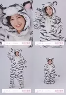 Rina Matsuda / 櫻坂 46 Random Official photo [Animal Costume] 4-Type Complete Set