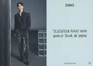 52 : Seventeen / Dino (Dino) / "Seventeen [RIGHT HERE] WORLD TOUR IN JAPAN" random photo card