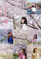 知多娘。写真集 vol.5 桜 ときどきハナモモ 平成31年