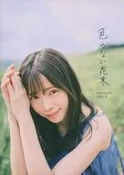 色のない花束