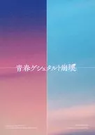 青春ゲシュタルト崩壊 特典フォトブック