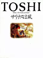 TOSHI写真集 サリナスは風