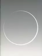 Survive Said The Prophet To Redefine/To Be Defined FLIP BOOK 特典