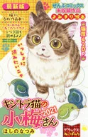 Deluxe Neko Panchi Itra Neko no Koume' 21 / Hoshino Natsumi
