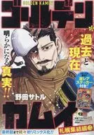 ゴールデンカムイ(13) / 野田サトル