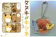 Bônus especial) Limitado 3) Raccoon e Fox Animation Limited Set