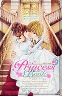 Sho-Comi Princess Book おとぎばなし2013