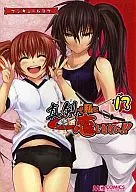 マジキュー4コマ 真剣で私に恋しなさい!(13)