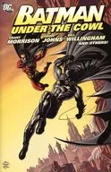 Batman： Under the Cowl
