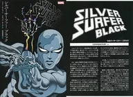 Silver Surfer : Black (tentative) / Trad Moor