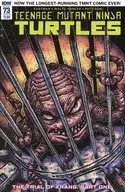 73)Teenage Mutant Ninja Turtles Vol.6(Cover B)(平裝版)