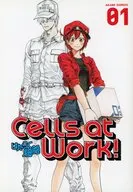 英語版)１)Cells at Work!(ペーパーバック) / Akane Shimizu