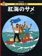 紅海鯊魚譚譚冒險之旅11