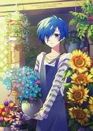 ラフレシ ya / R. O. N